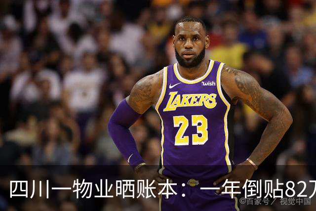 四川一物业晒账本：一年倒贴82万，账目出现“买东西”326元