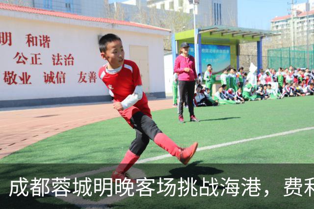 成都蓉城明晚客场挑战海港，费利佩复出：现在说什么不重要，关键是决心和表现