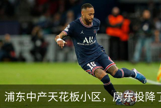 浦东中产天花板小区，房东投降了